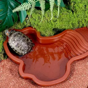 piscina para répteis com rampa