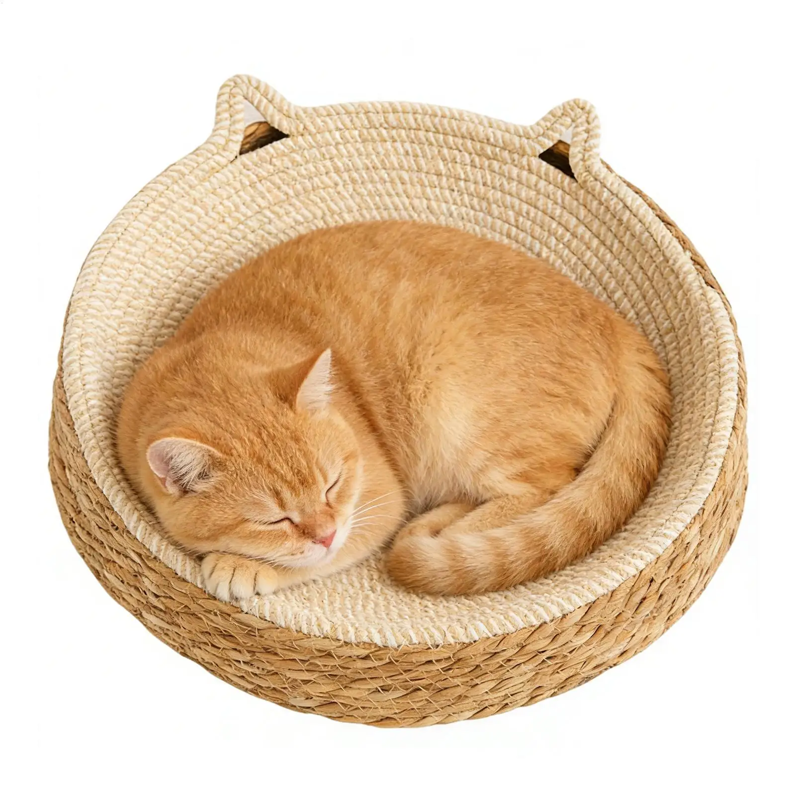 cama sofá para gatos e cães