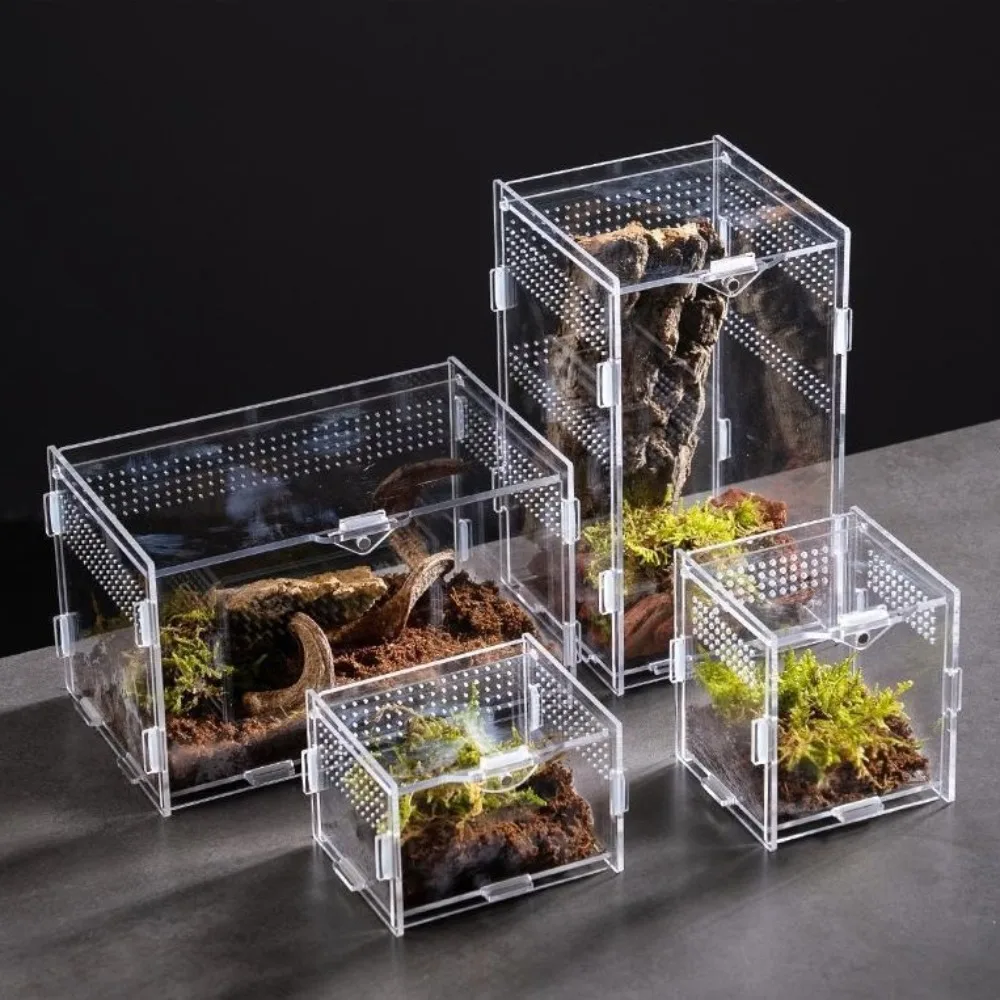 habitat de acrílico para répteis