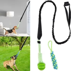 brinquedo de corda para cães com mola