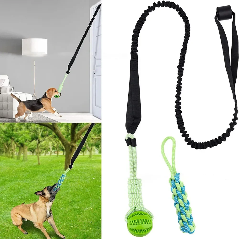 brinquedo de corda para cães com mola