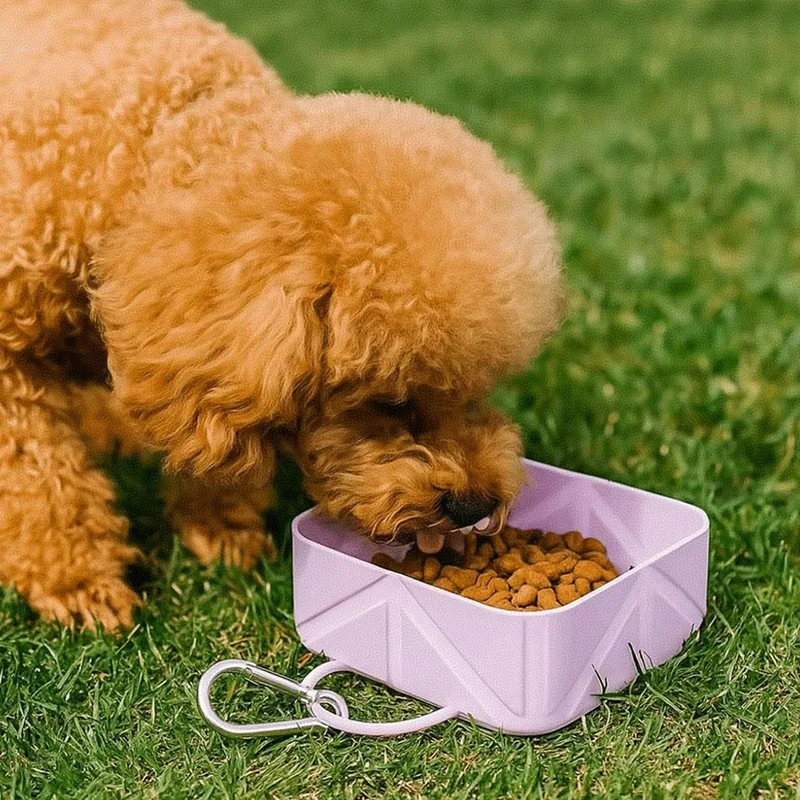 Tigela de Viagem para Cães e Gatos Dobrável com Fivela para Coleira - Imagem 3