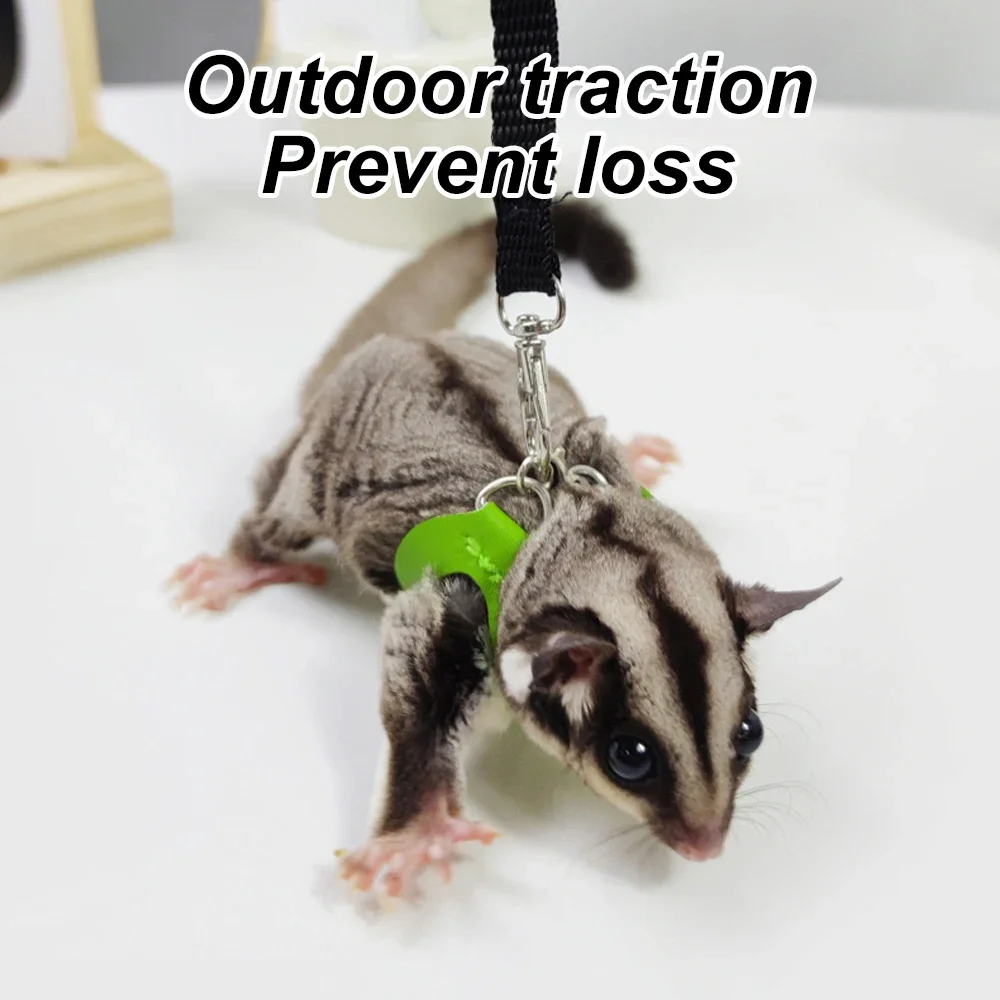 Coleira e Guia para Sugar Glider Ajustável Chocolate - Imagem 4