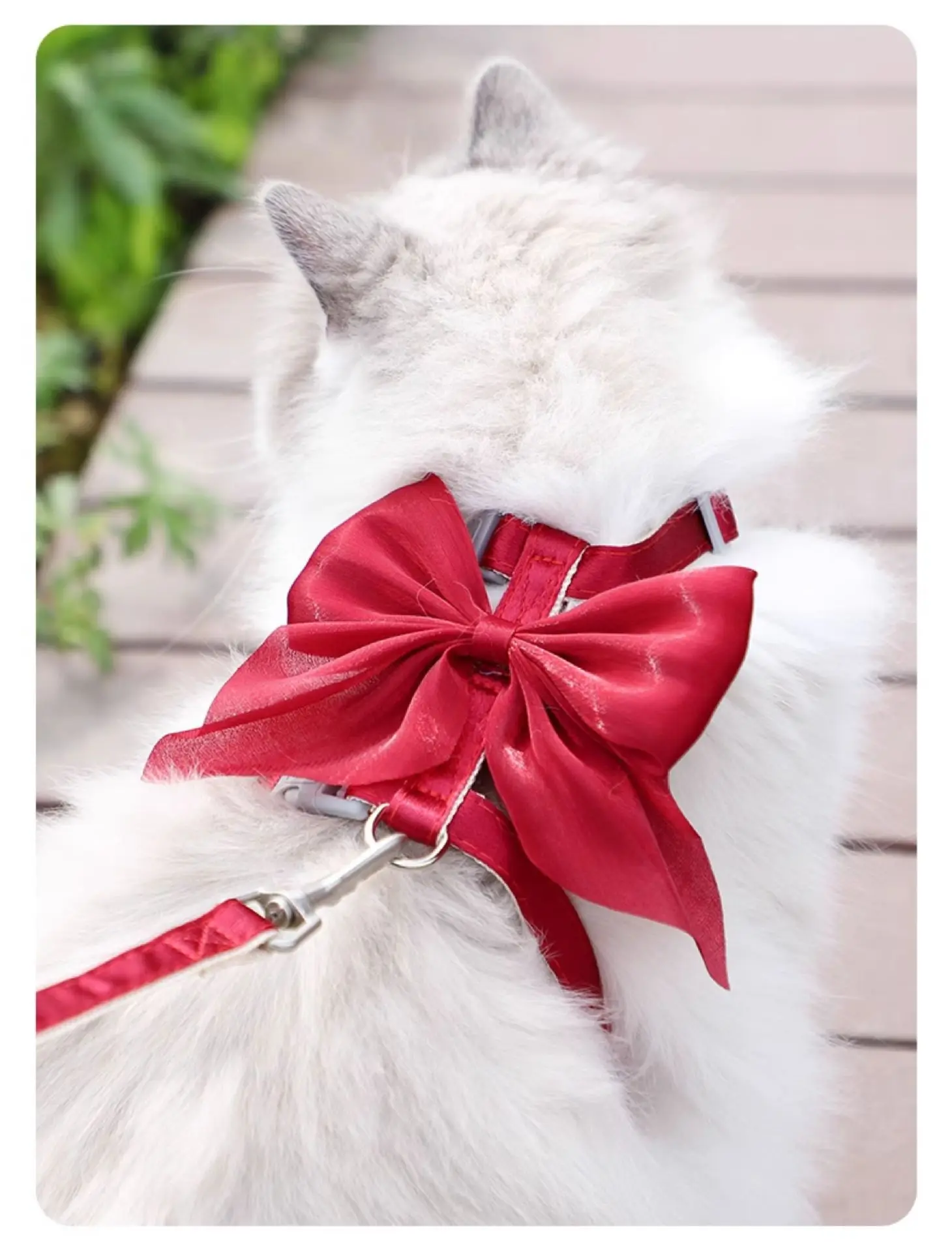 Conjunto Coleira e Guia para Gato com Laço e Colete Leve - Imagem 4