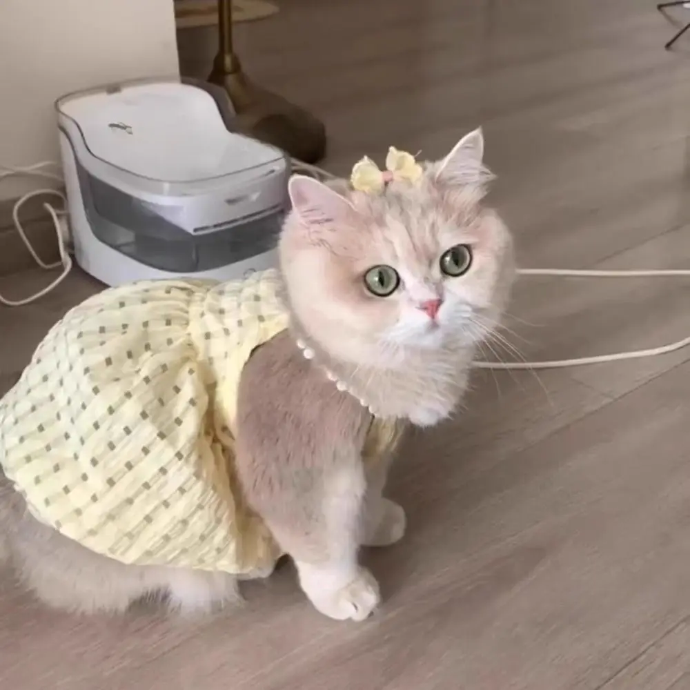 Vestido para Cães e Gatos Estilo Princesa em Poliéster - Imagem 3