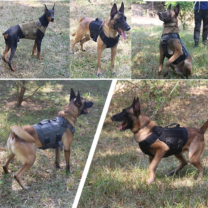 Colete Tático Militar para Cães de Nylon 1000D com Fivelas de Metal - Imagem 5