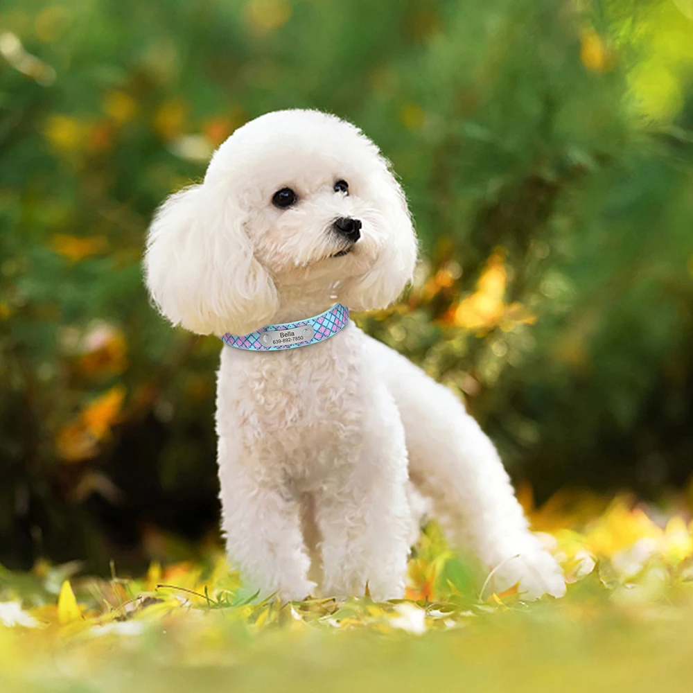 Coleira de Couro Xadrez para Cães Pequenos Ajustável - Image 5