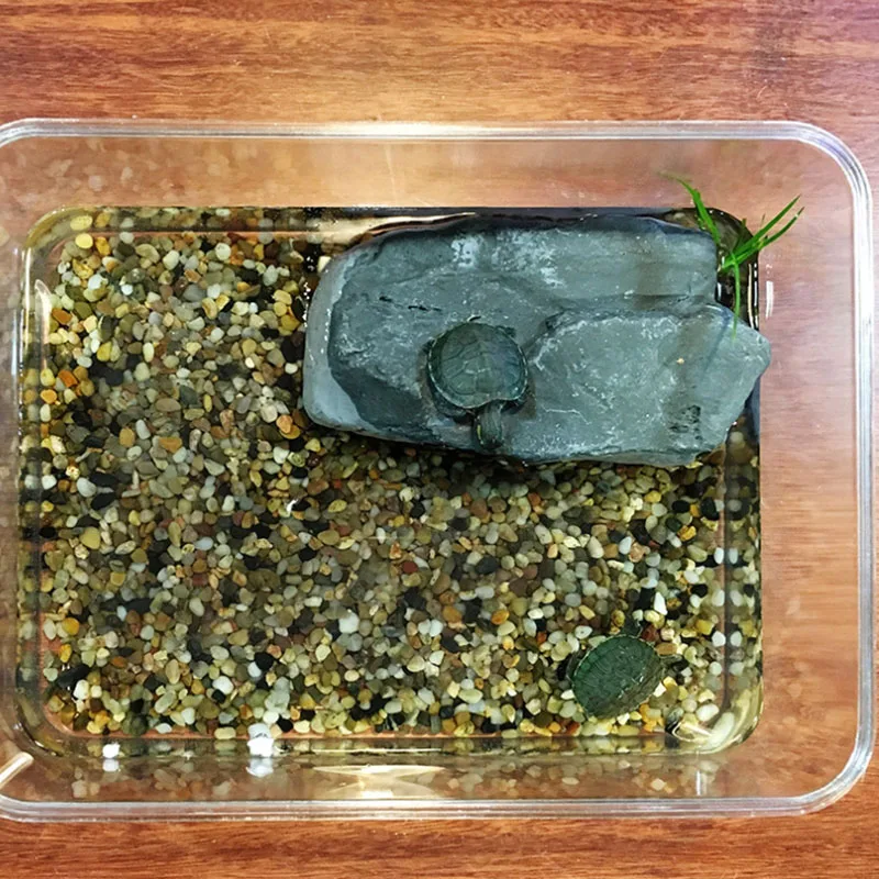 Plataforma de Resina para Tartarugas e Répteis 16x5,5x9 cm com Caverna - Imagem 4