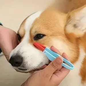 pente removedor de manchas para pets