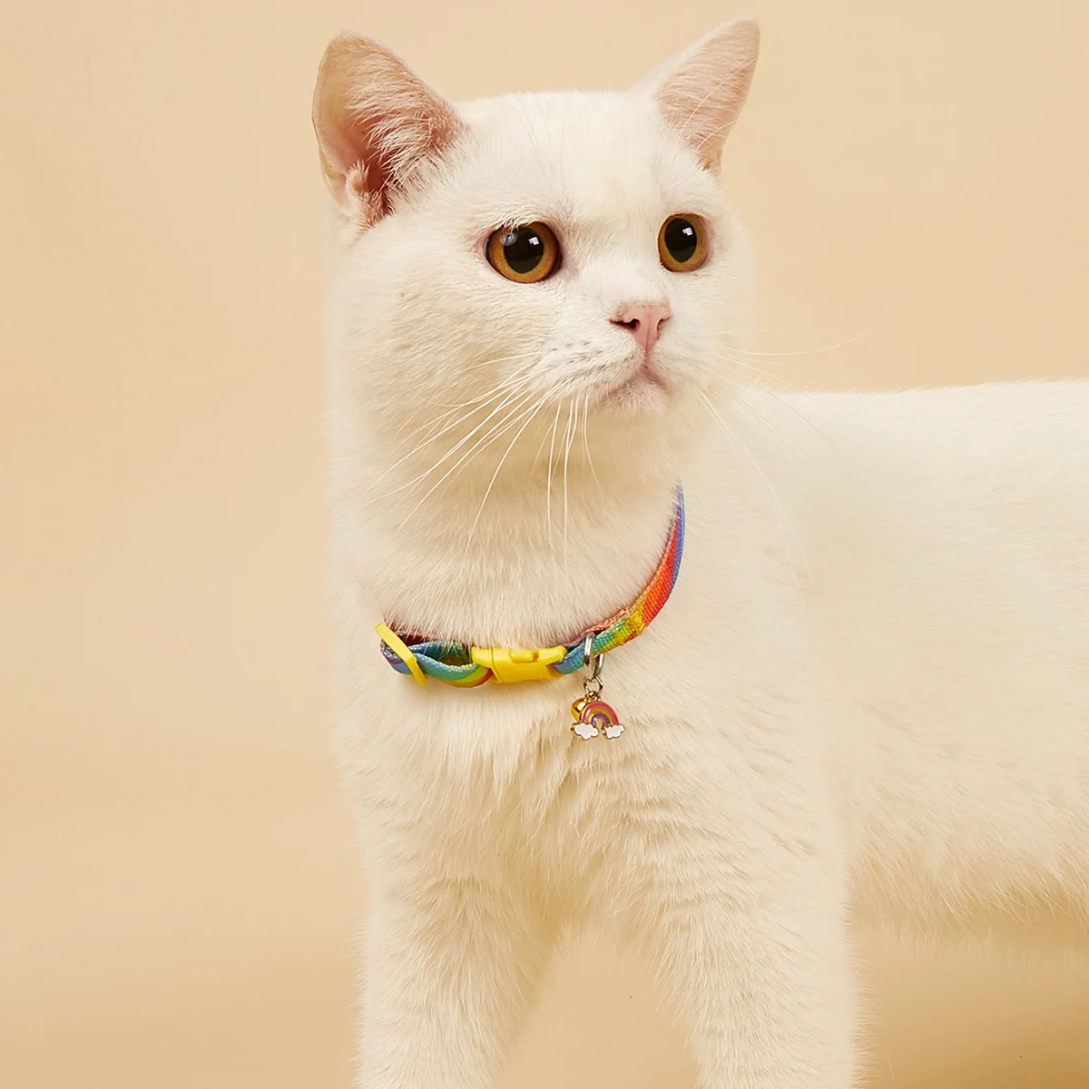 Coleira Decorativa Ajustável para Gatos e Cães Pequenos com Sino - Imagem 5