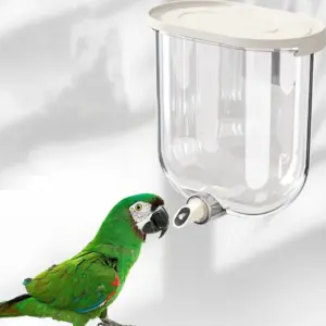 bebedouro automático para pássaros