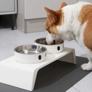 tigelas elevadas para cães e gatos