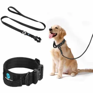 coleira tática para cães de nylon