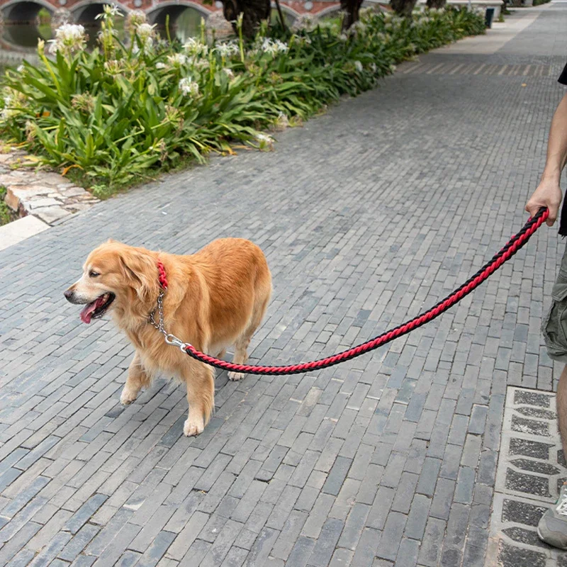 Coleira de Nylon Trançado para Cães Pequenos e Grandes 1,37 m - Imagem 5