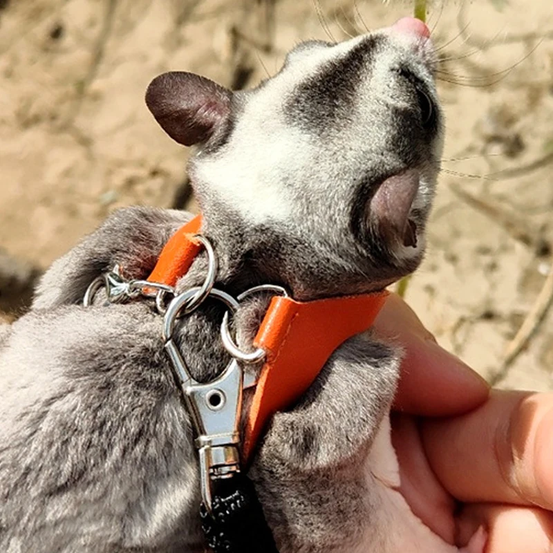 Coleira Peitoral para Hamster Pequeno Ajustável Anti-fuga - Imagem 3