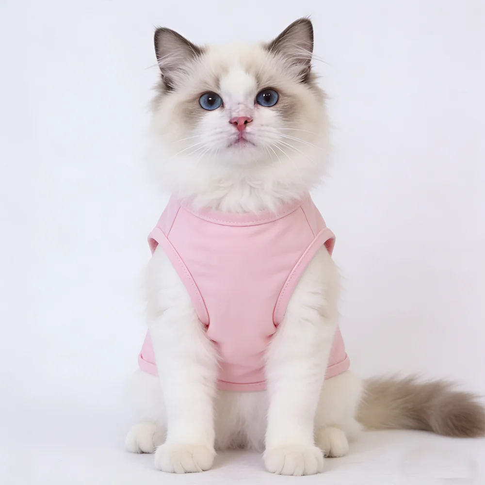 Colete Fashion para Cães e Gatos de Verão Respirável - Image 3