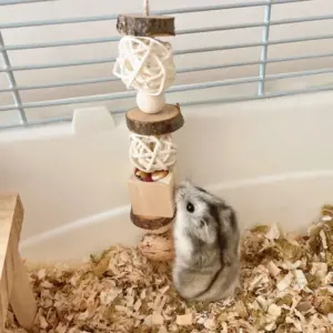 brinquedo de madeira para hamster