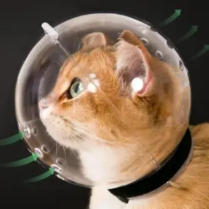capa facial para gatos anti-mordida