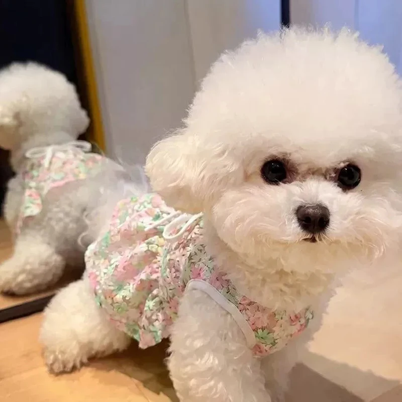 Vestido para Cães com Estampa Floral Saia sem Mangas Respirável - Image 4