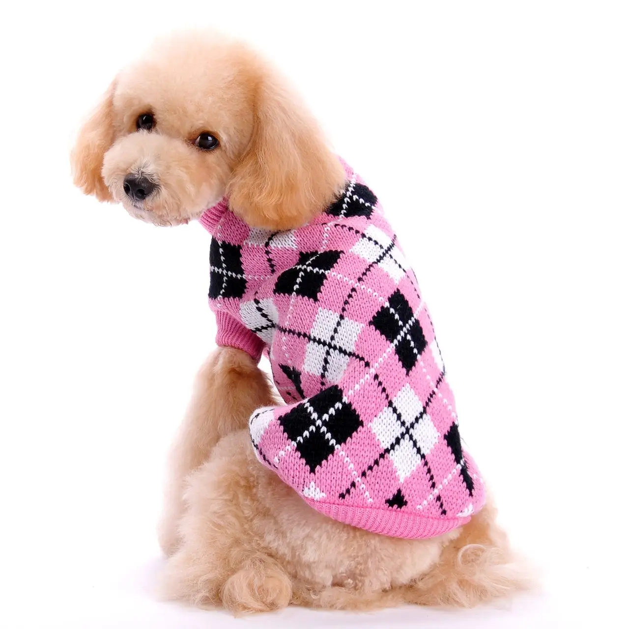 Camisola Crochê para Cães e Gatos Pequenos com Malha Argyle - Imagem 2