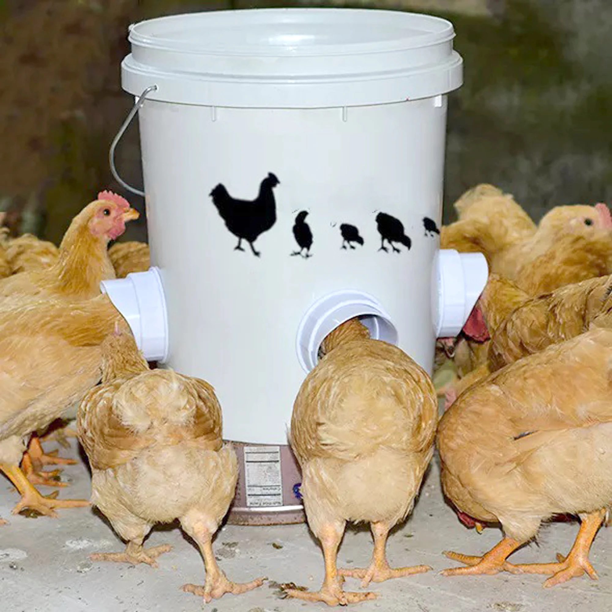 Alimentador de Aves DIY com Porta de 8 cm à Prova de Chuva - Imagem 6