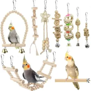 kit brinquedos de madeira para pássaros