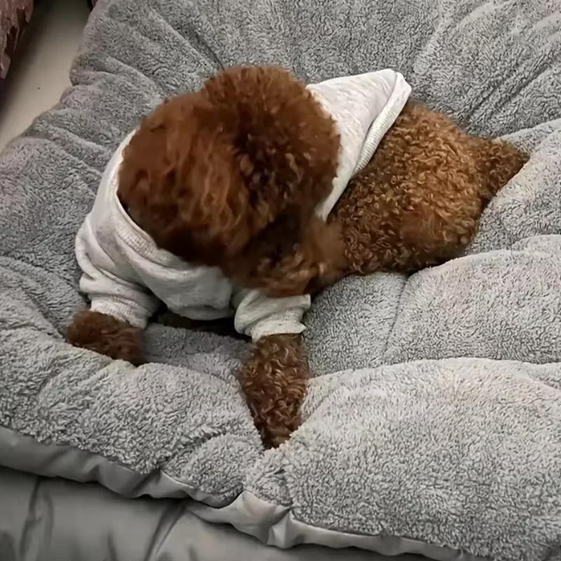 Cama Sofá para Cães Grandes 120x60cm de Poliéster - Image 3