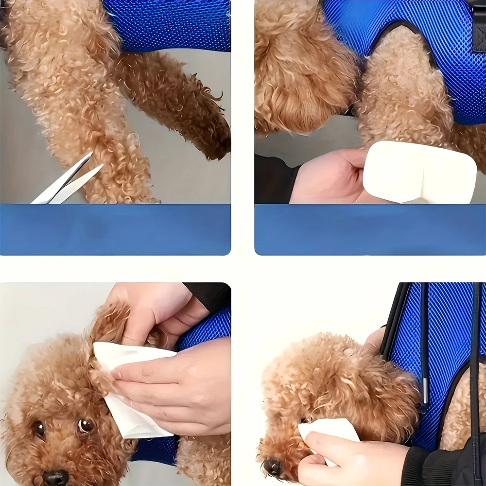 rede de contenção para cães e gatos