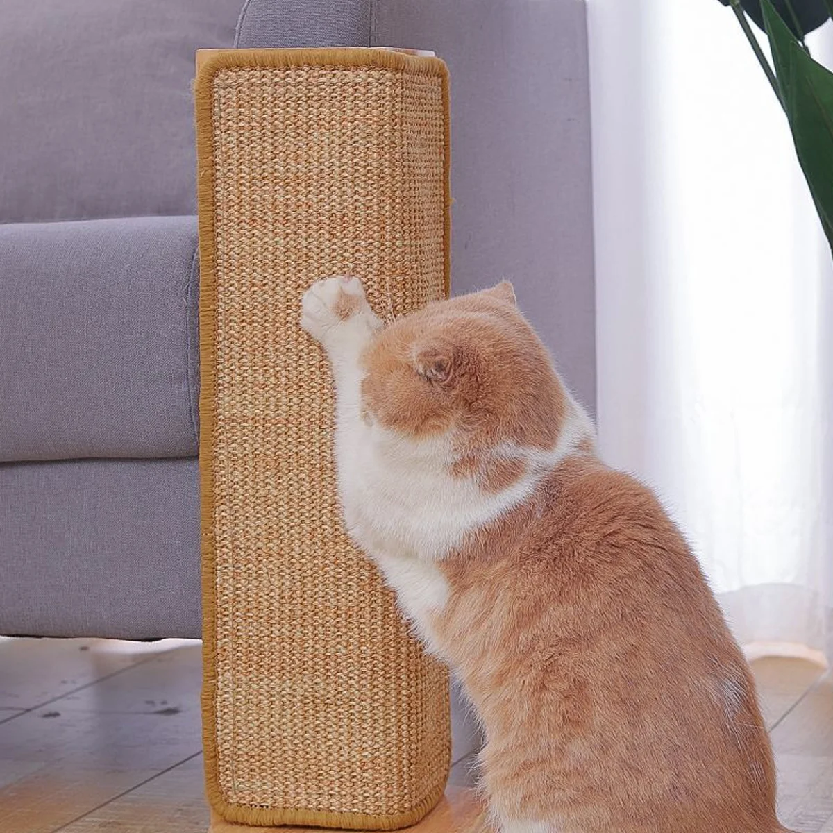 Arranhador para Gatos de Sisal com Velcro para Parede - Image 3