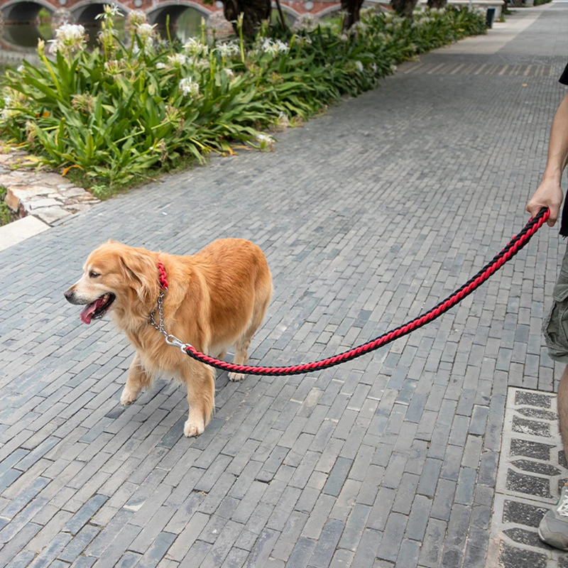 Guia para Cães Grandes de Nylon Trançado 4,3 pés - Imagem 6