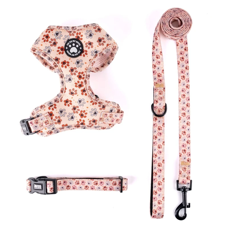 Peitoral Ajustável para Cães Pequenos e Médios com Guia para Passeio - Imagem 3