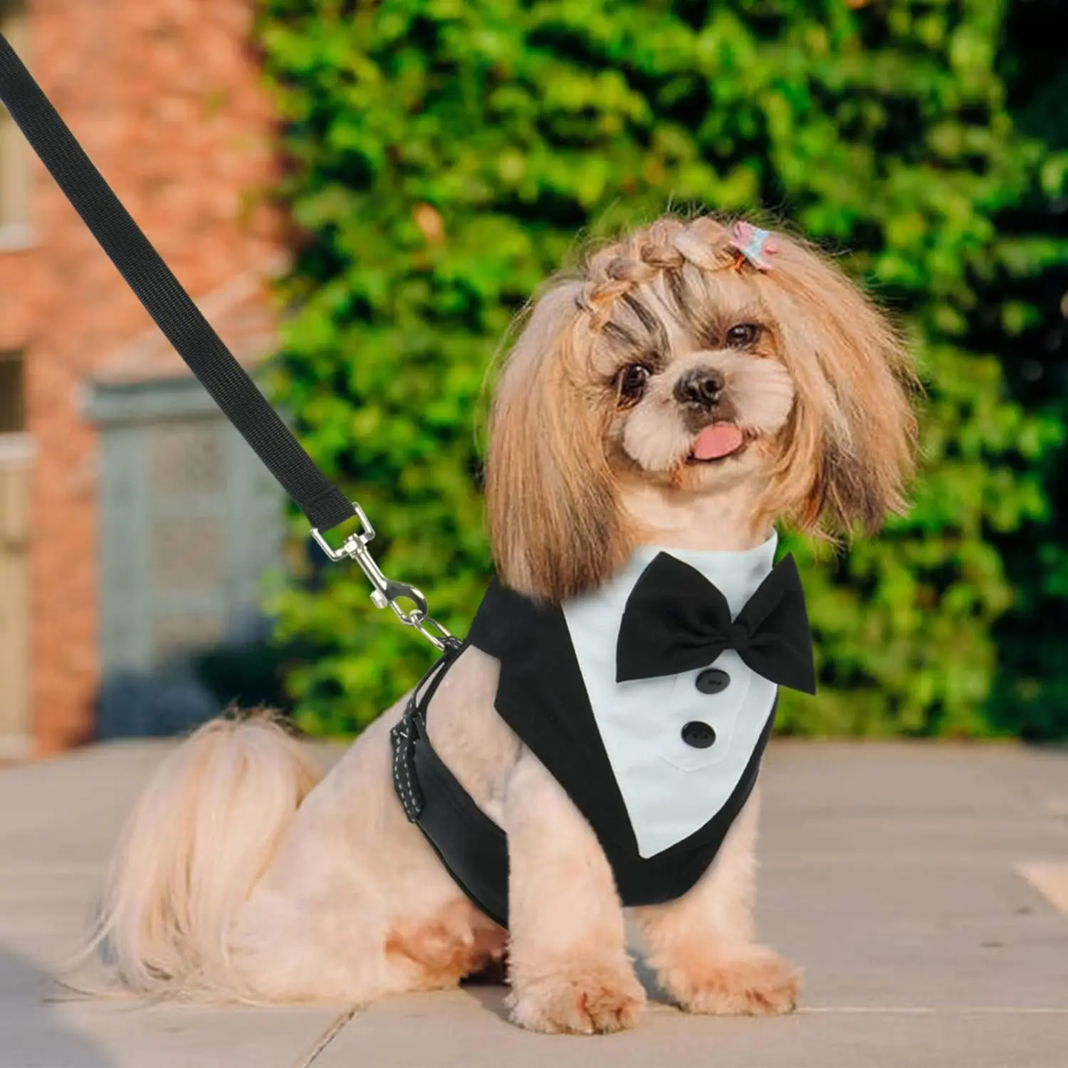 Colete Smoking para Cães com Gravata Borboleta Ajustável - Image 5