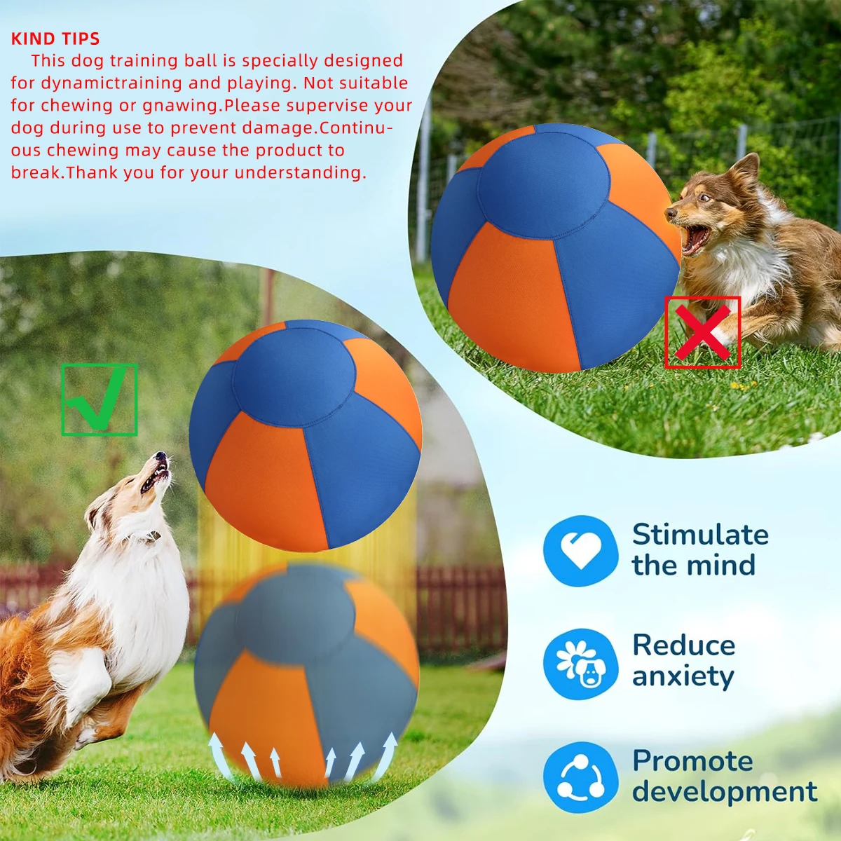 Bola Gigante para Cães com Cores Vibrantes para Treino ao Ar Livre - Imagem 5