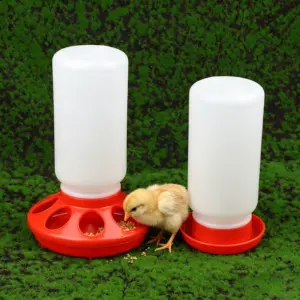 comedouro e bebedouro automático para aves