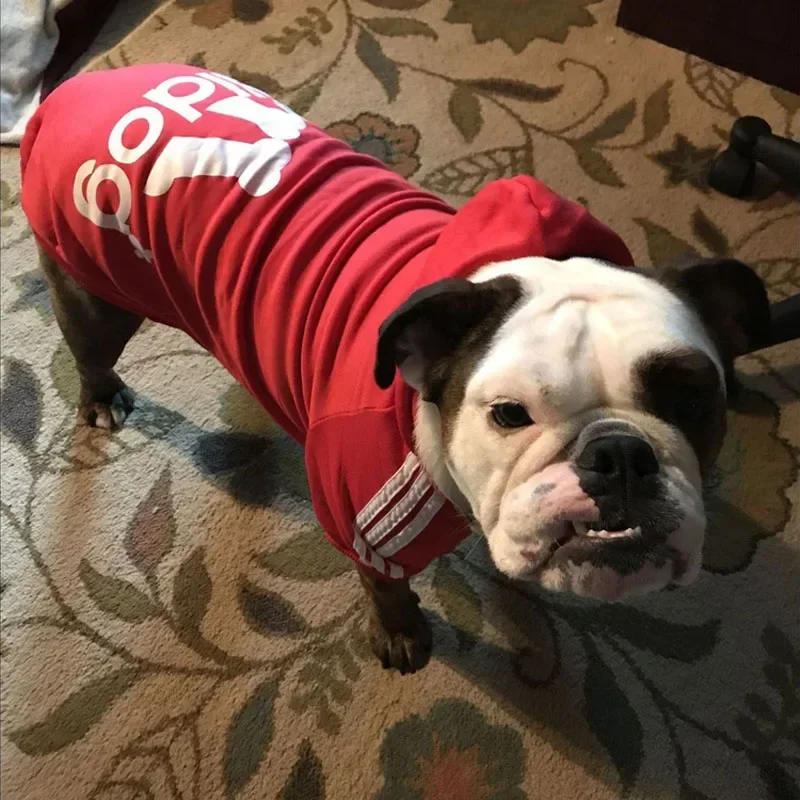 Moletom Adidog para Cães Quente com Capuz para Inverno - Imagem 3