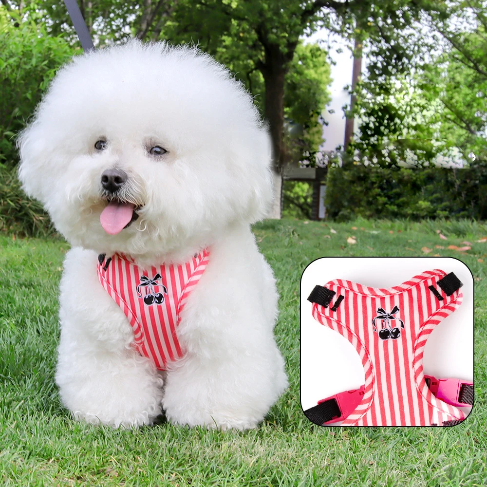 Coleira e Guia para Cães Pequenos com Design Estampado - Imagem 4