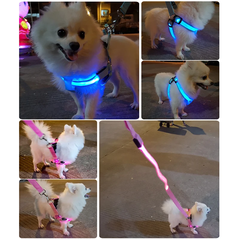 Coleira Peitoral LED para Cães Recarregável USB Ajustável - Imagem 3