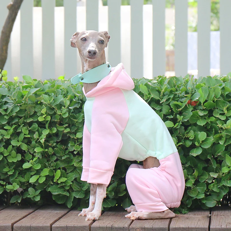 Suéter de Lã para Cães Galgo e Whippet com Capuz e Quatro Patas - Imagem 3