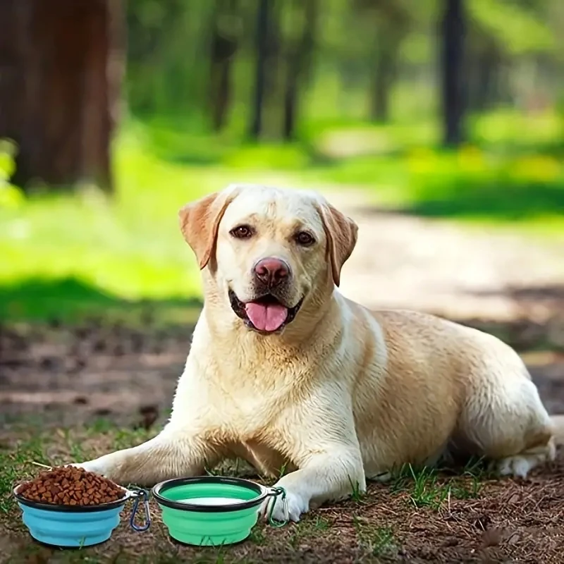 Tigela Dobrável para Cães Portátil com Tampa para Viagem - Imagem 3