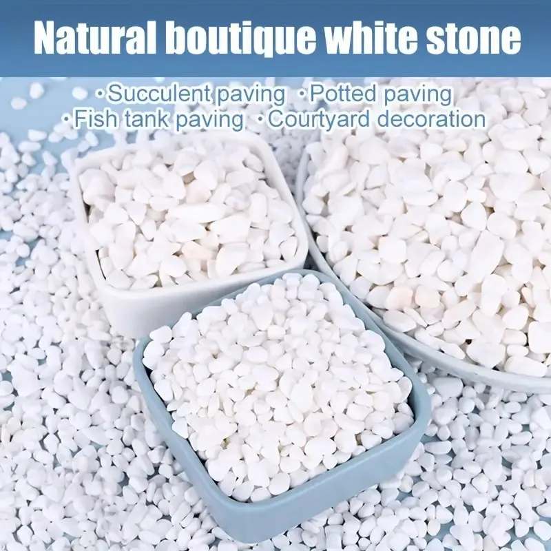 Pedras Decorativas para Aquário 500g Seixo Branco Polido Natural - Imagem 5