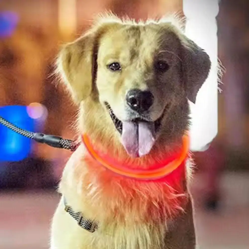 Coleira LED para Cães Recarregável USB Ajustável e Visível - Image 6