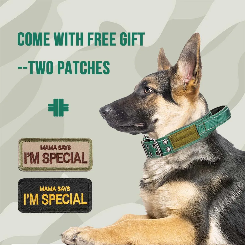 Coleira Tática para Cães com Fivela Dupla e Faixa Refletiva - Imagem 4