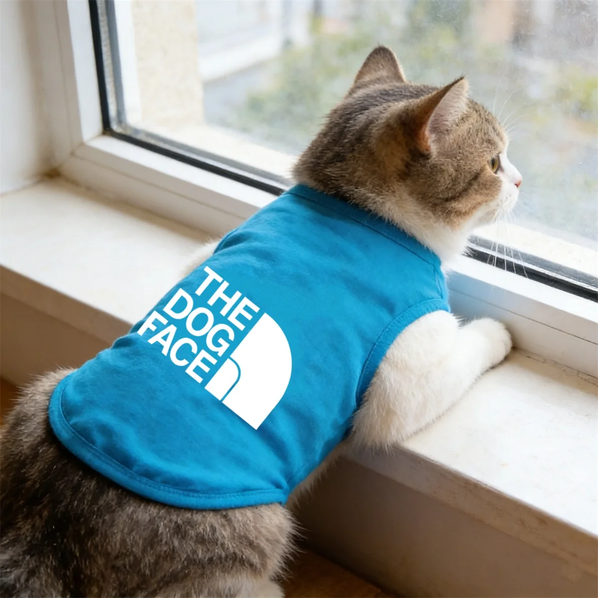 Colete para Cães e Gatos Fino e Respirável de Verão - Imagem 5