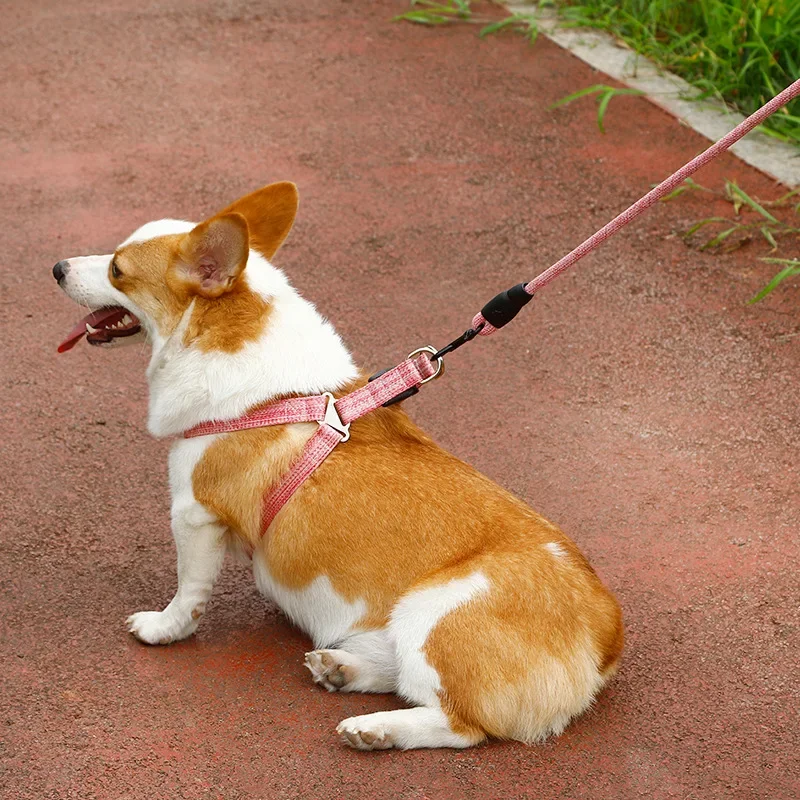 Conjunto Coleira e Guia para Cães e Gatos Ajustável 1,2 m - Imagem 3