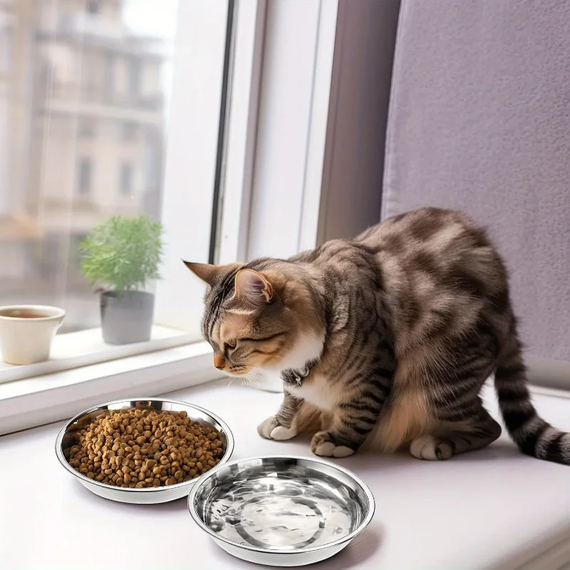 Tigela para Gatos de Aço Inoxidável 16 cm Antiderrapante - Imagem 5