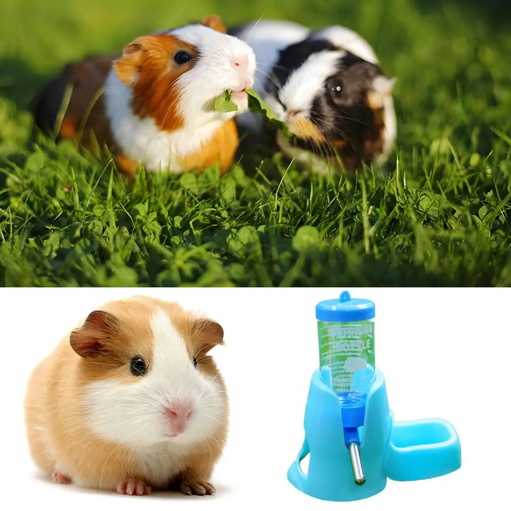 Bebedouro para Hamster e Pequenos Animais Plástico com Recipiente para Comida - Imagem 4