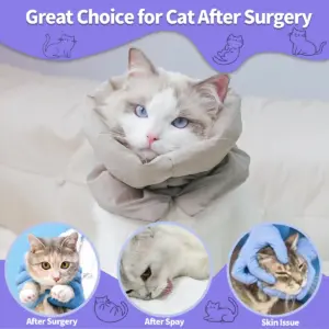 coleira lenço para gatos pós-esterilização