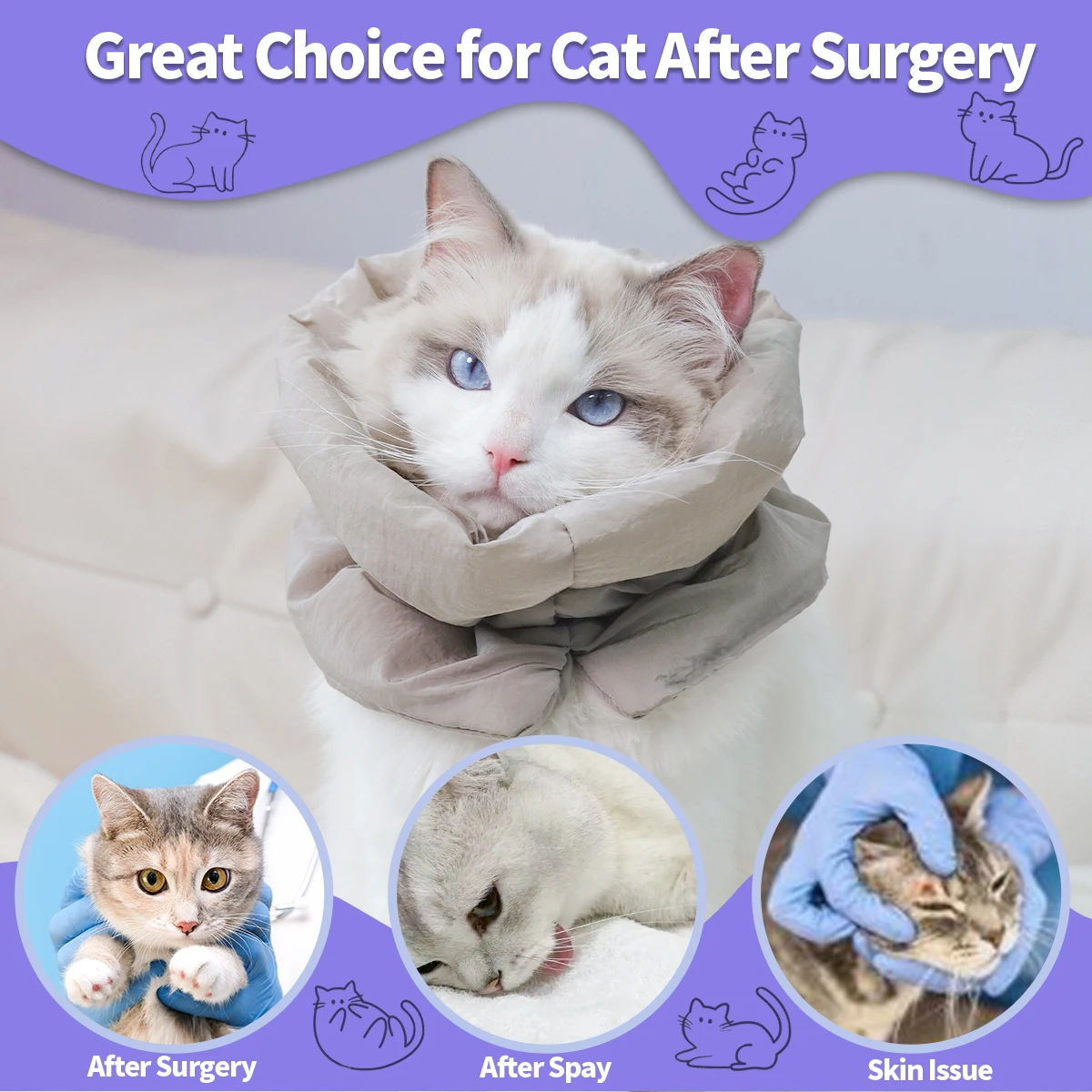 coleira lenço para gatos pós-esterilização