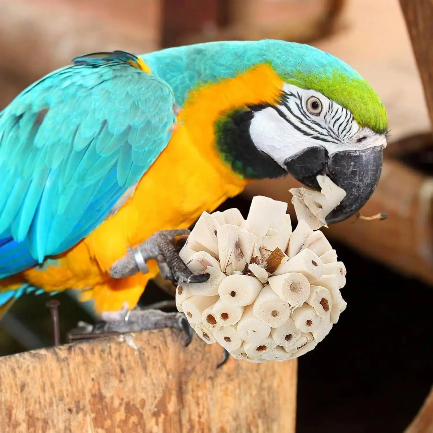 Brinquedo Bola para Papagaio de Plantas Naturais para Mastigar - Imagem 6