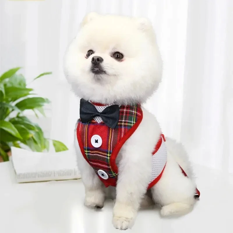 Coleira Peitoral Floral para Cães e Gatos de Laço Ajustável - Imagem 4